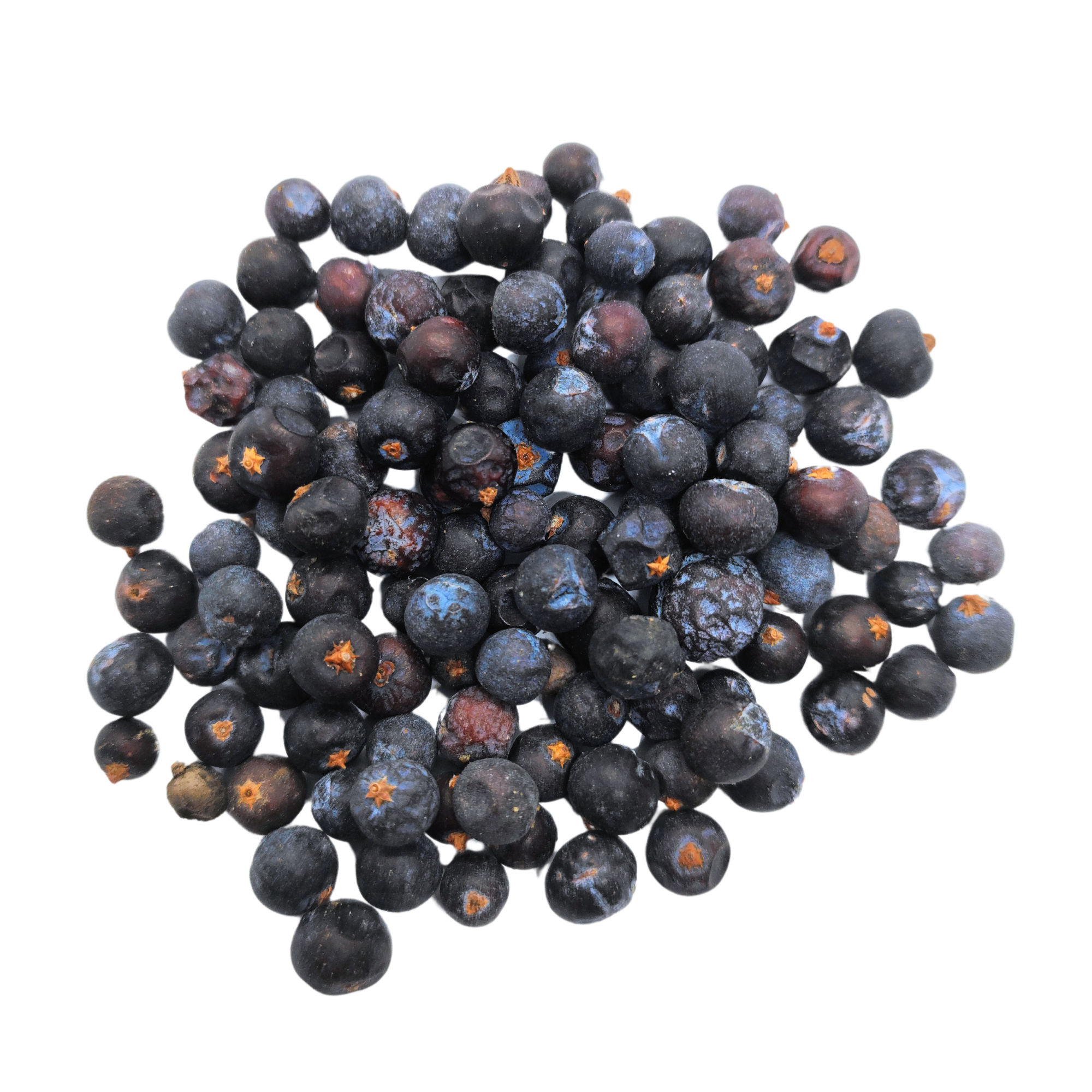 Bayas enteras de enebro.